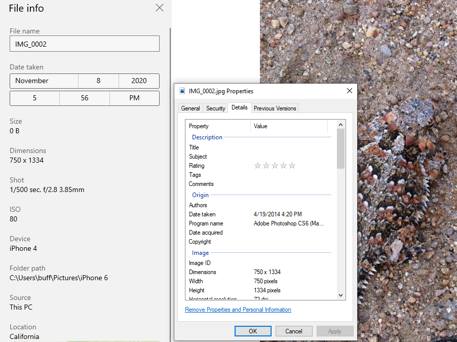 Windows 10 Photos